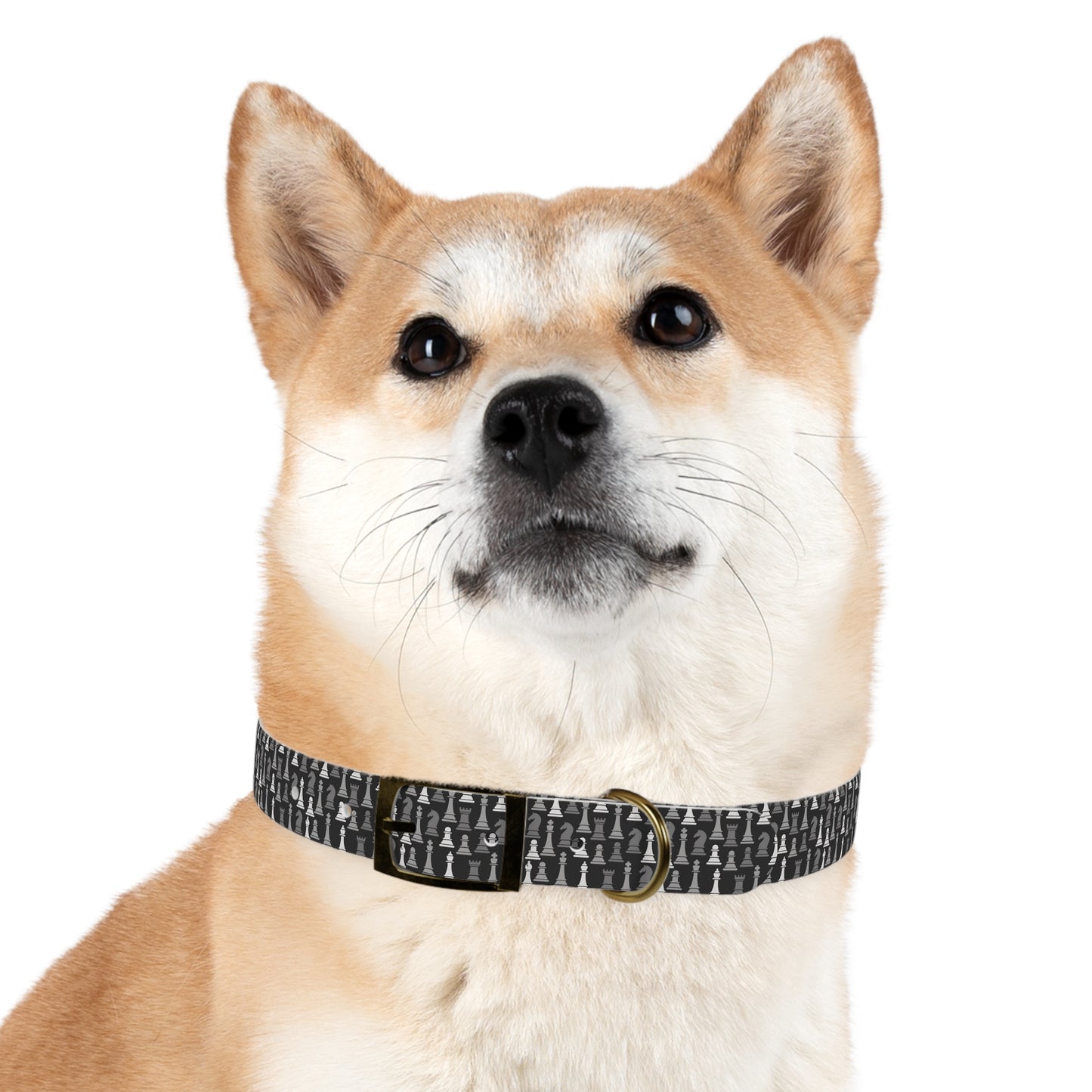 Dog Collar - Black Multi